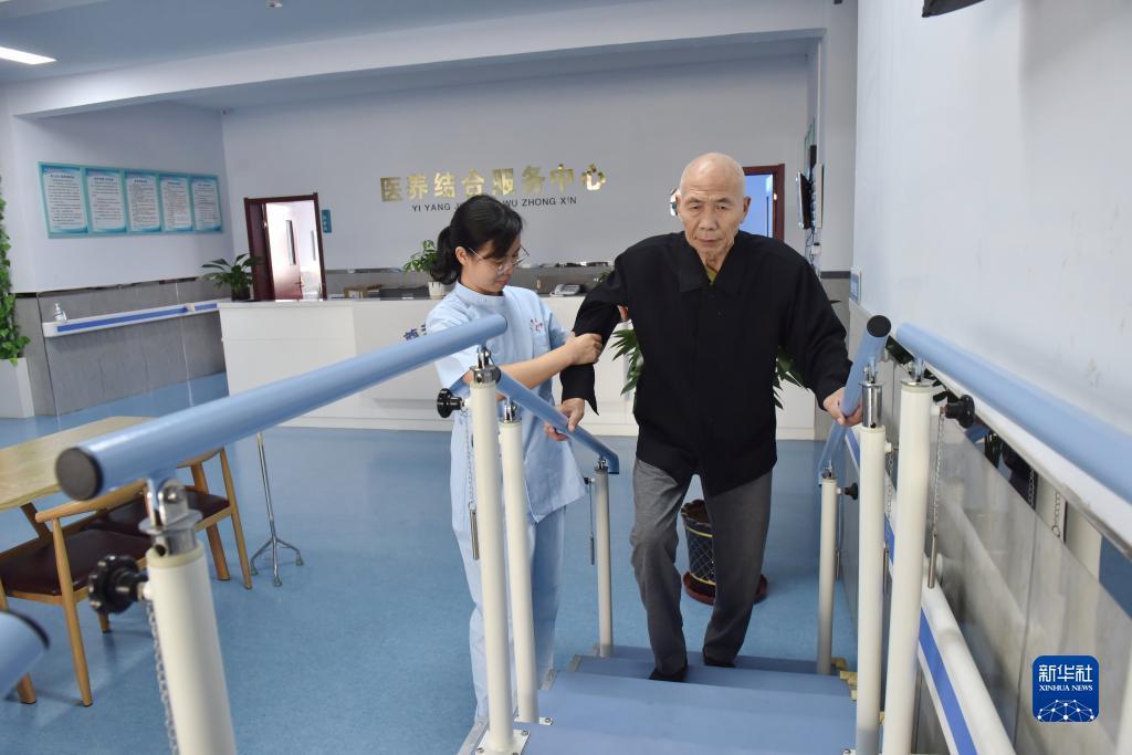 皇冠菜图片